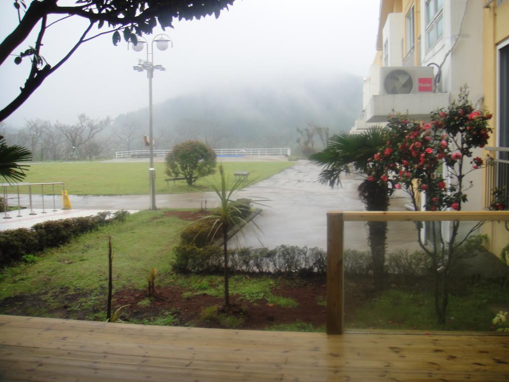 Geomunoreum Hostel Jeju Eksteriør billede