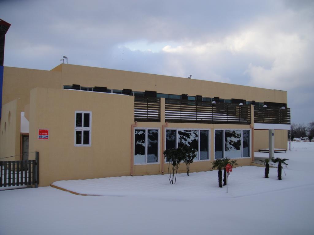 Geomunoreum Hostel Jeju Eksteriør billede