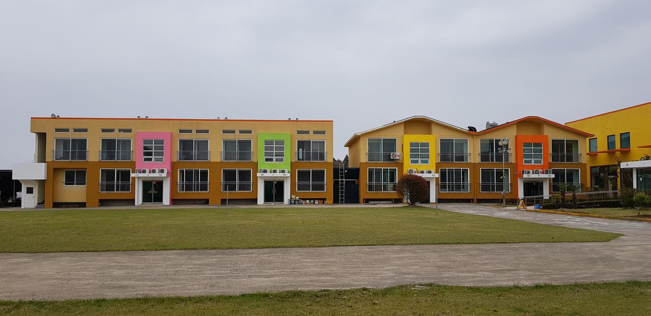 Geomunoreum Hostel Jeju Eksteriør billede